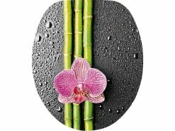 Rabatt 😀 WC-Sitz Asia in mehrfarbig 👍