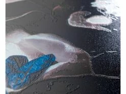 Top 10 ✨ Wenko WC-Sitz Peony in mehrfarbig 🤩 -Badaccessoires Verkaufsgeschäft 6794478 0616197 7 24799803